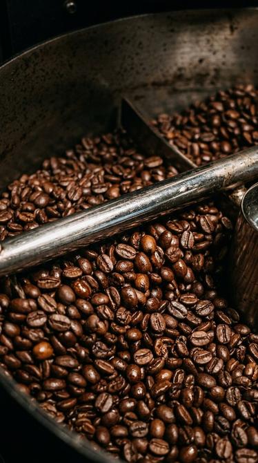 Coffee beans in a roaster drum
